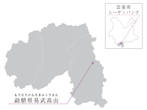 易武高山の産地マップ